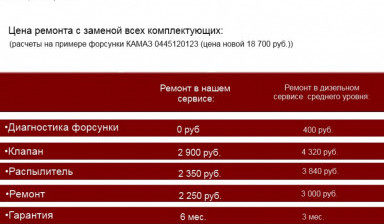 Ремонт и диагностику топливных форсунок