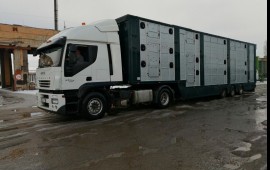 Перевозка скота крс мрс
