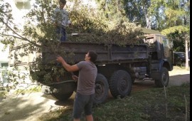 Предлагаю услуги по перевозкам