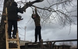 Грузчики, переезды в Домодедово