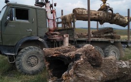 Услуги манипулятора Камаза вездехода