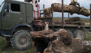 Услуги манипулятора Камаза вездехода. Лесовоз. в Симферополе