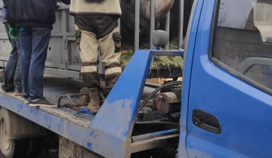 89105315555 Эвакуатор Тверь и область заказ услуги