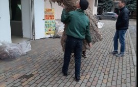 Трезвые грузчики. Услуги грузчиков для переезда.