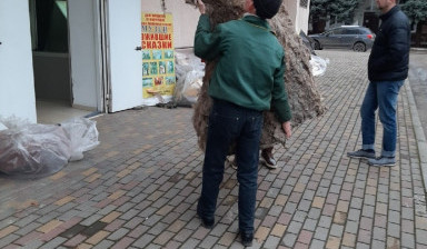 Трезвые грузчики. Услуги грузчиков для переезда. в Ростове-на-Дону
