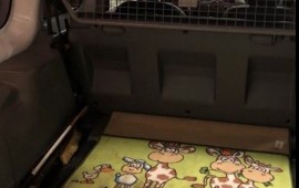 Зоотакси заказ, услуги. 89600485599