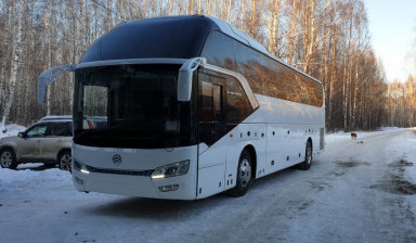 Пассажирские перевозки. Услуги заказной автобус.