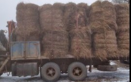 Манипулятор Кран Грузоперевозки