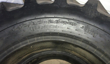 Автошина
