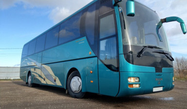 Аренда. Заказ автобусов. Пассажирские перевозки