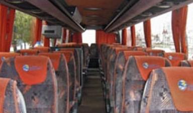 Пассажирские перевозки. Автобусы от 14 до 56 мест