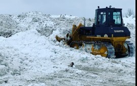 Сдам в аренду бульдозер Shantui SD16