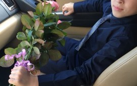 Пассажирские перевозки заказ минивен микроавтобуса