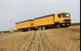 Зерновозы большой вместимости! Перевозка зерна.