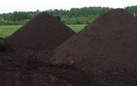 Чернозем, земля плодородная