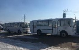 Пассажирские перевозки автобусом ПАЗ-30 мест
