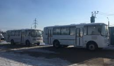 Пассажирские перевозки автобусом ПАЗ-30 мест