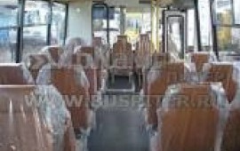 Пассажирские перевозки автобусом ПАЗ-30 мест