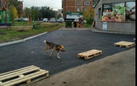 Асфальтирование парковок, дорог