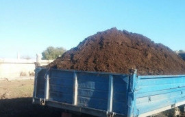 Чернозем, перегной, навоз, плодородный грунт