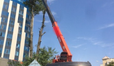 МАНИПУЛЯТОР АВТОВЫШКА КРАН