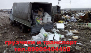 Вывоз мусора.Вологда. Грузчики