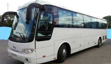 Перевозка Пассажиров автобусами. Заказной автобус.