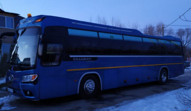 Пассажирские перевозки. Заказной автобус аренда.