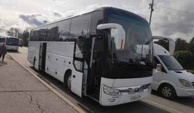 АРЕНДА/ ЗАКАЗ АВТОБУСОВ