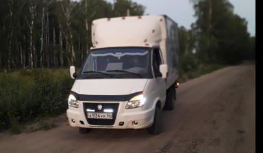 Газель