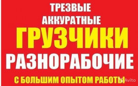 Грузчики/ Разнорабочие24Rus