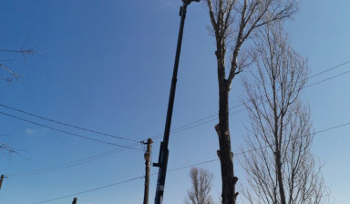 Услуги автовышки ( мехрука) Темрюк, районы