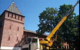 Автокран 25т 22м/28м услуги. Аренда спецтехники П