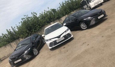 Аренда автобусов микроавтобусов, легковых авто