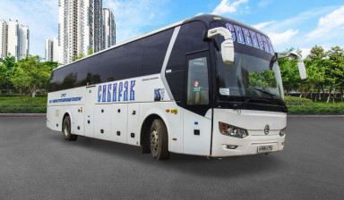 Аренда автобусов