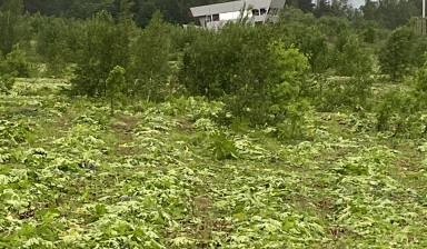 Уборка территории, вспашка участков, покос травы