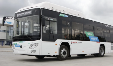 Автобус лотос 105