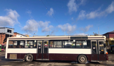 Автобус маn- SL-202