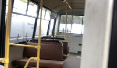 Паз 3205