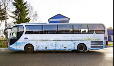 Маn lion'S coach