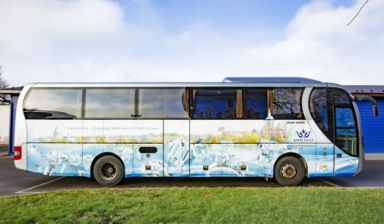 Маn lion'S coach
