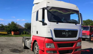 MAN TGX
