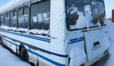 Автобус паз 4234