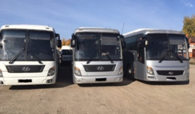 ПЕРЕВОЗКА ПАССАЖИРОВ. ЗАКАЗНОЙ АВТОБУС.