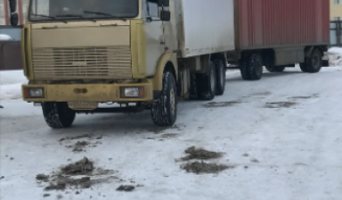 МАЗ 6303