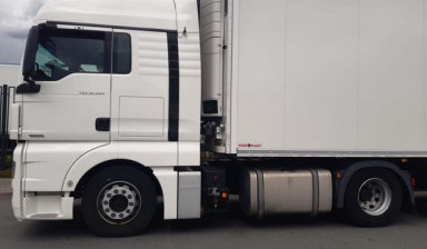 MAN TGX 18.480