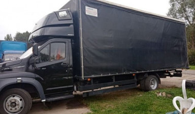 Газон Некст