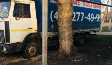 Продам маз зубрёнок
