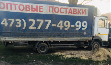 Продам маз зубрёнок