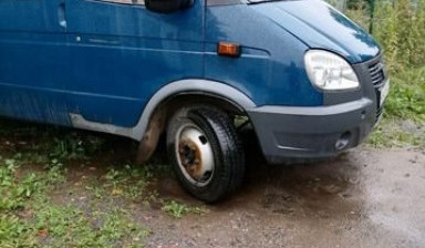 Газель-фермер